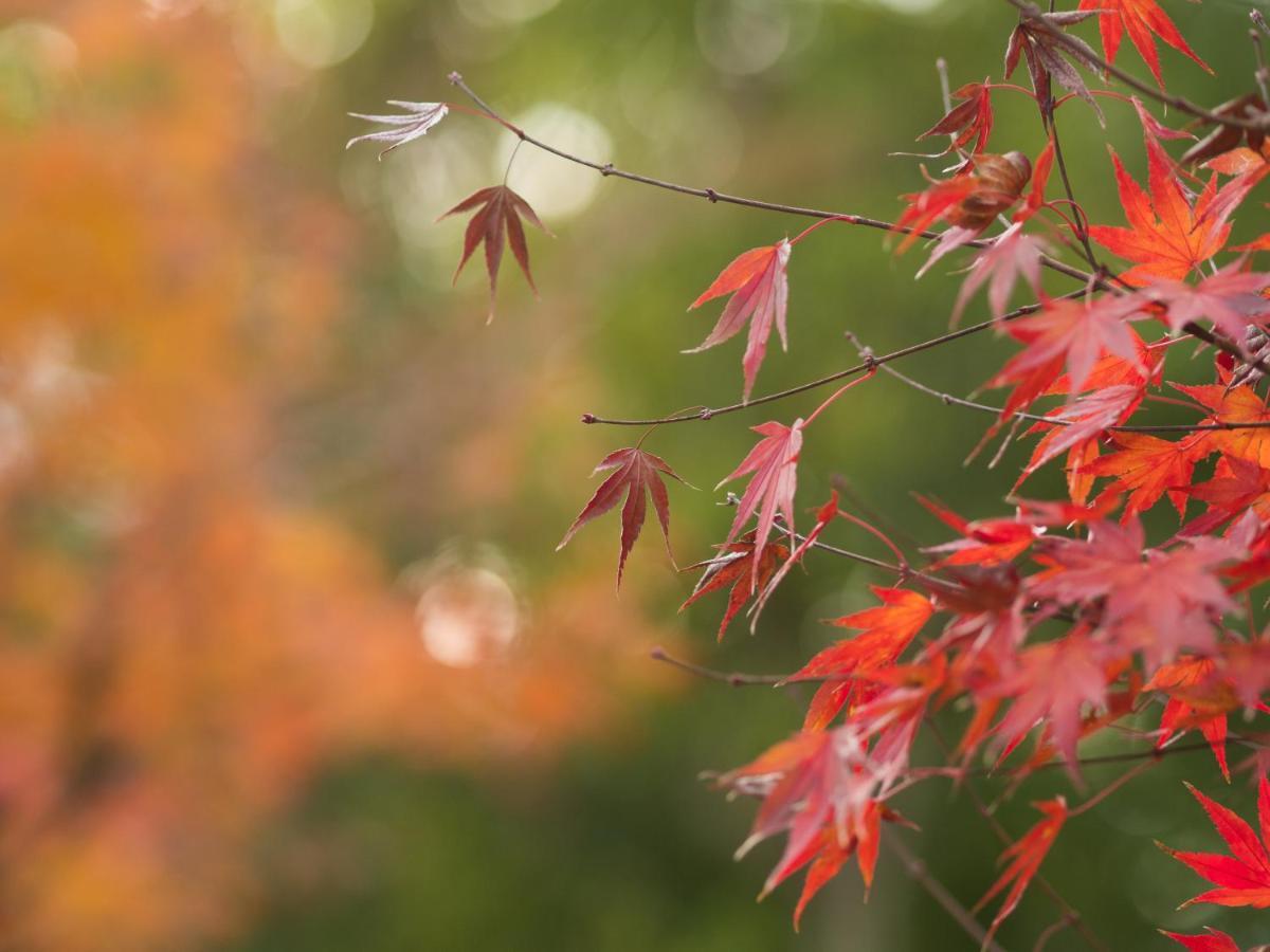 Ryokan Genhouin Kiotó Kültér fotó