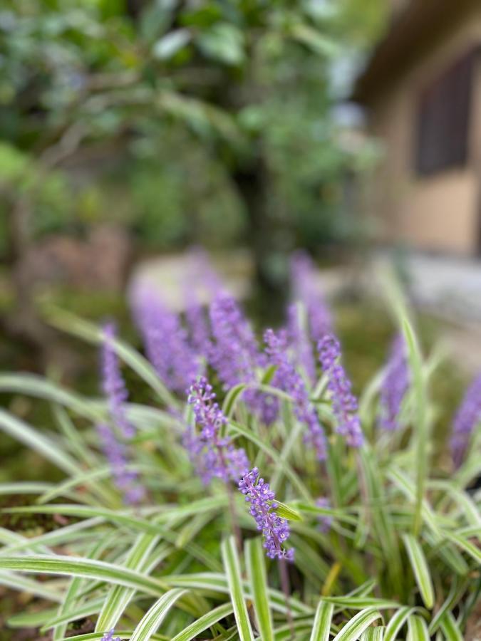 Ryokan Genhouin Kiotó Kültér fotó
